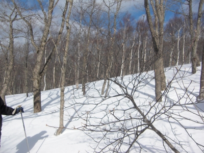 森のこだま館 冬山体験ツアー