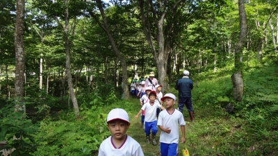 森のこだま館 五日市小学校 学校林活動